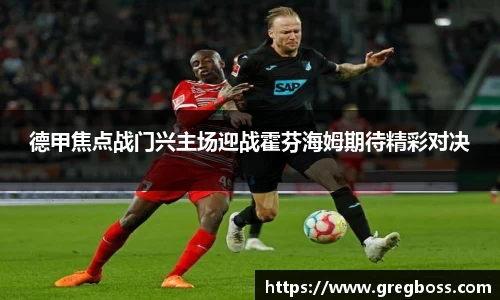 德甲焦点战门兴主场迎战霍芬海姆期待精彩对决